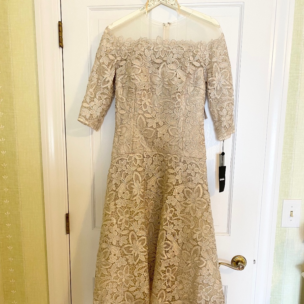 COPY - Teri Jon Mother of the Bride Dress